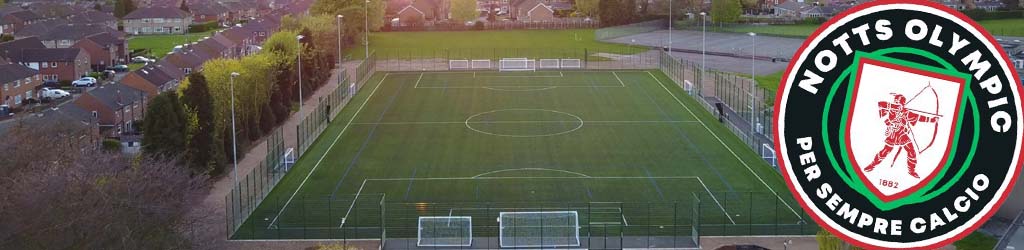 Redhill Leisure Centre 3G